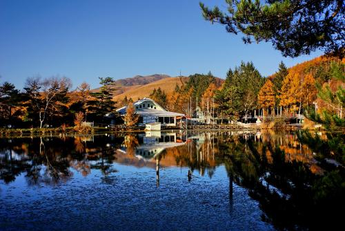 釜山旅游酒店预定：在游览釜山的美丽风景时享受舒适住宿