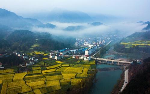 同里旅游预定门票：让你畅游优雅的江南小桥