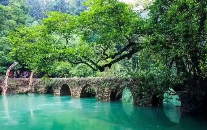 青海湖旅游：给你一份美丽的景观