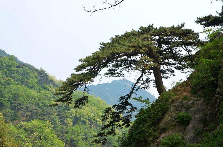 碧峰峡风景区：美不胜收的自然之美