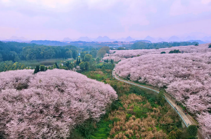桂林旅游，被誉为“中国最美的山水之城”，它古朴典雅的山水风光、历史文化名胜以及清新安静的自然环境，让游客们感受到恬静淡雅的生活气息，游览桂林时可以体验到桂林的独特魅力。